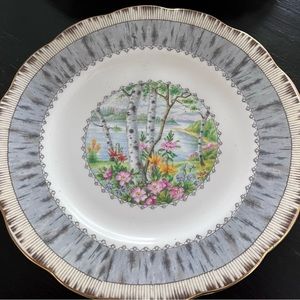 1 side plate Silver Birch Bone China in mint condition